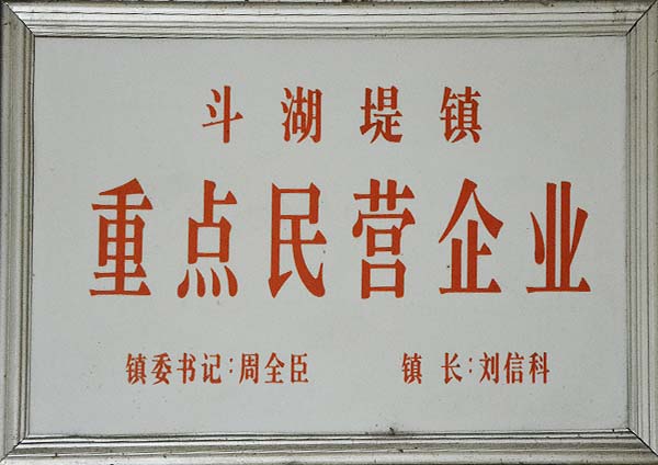 重點民營企業(yè)